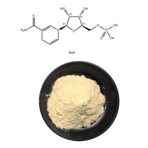 Poudre NMNH pour CAS anti-âge 108347-85-9